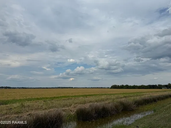 White Oak Hwy, Branch, LA 70516