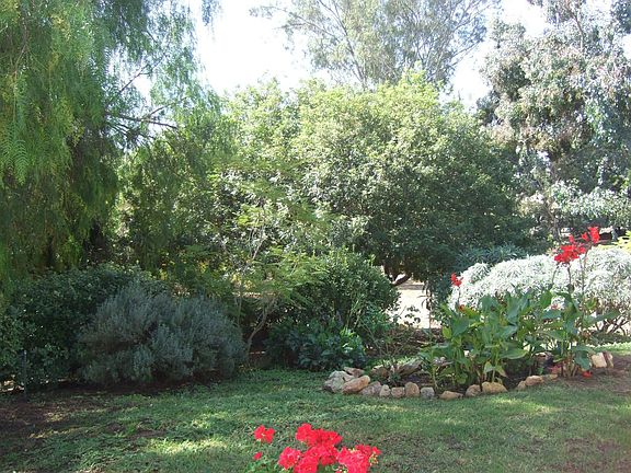 Lush landscaping with mulitple fruit and native trees!