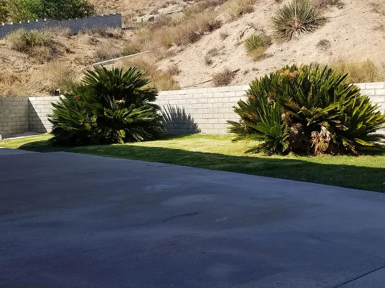 29508 Poppy Meadow St — Photo 27
