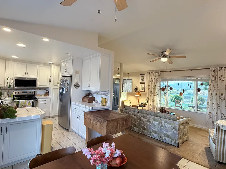 Dining and living room