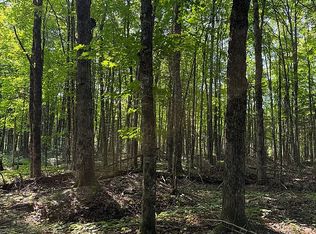 N2525 Coaster Rd, Traunik, MI 49891