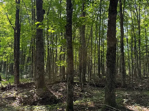 N2525 Coaster Rd, Traunik, MI 49891