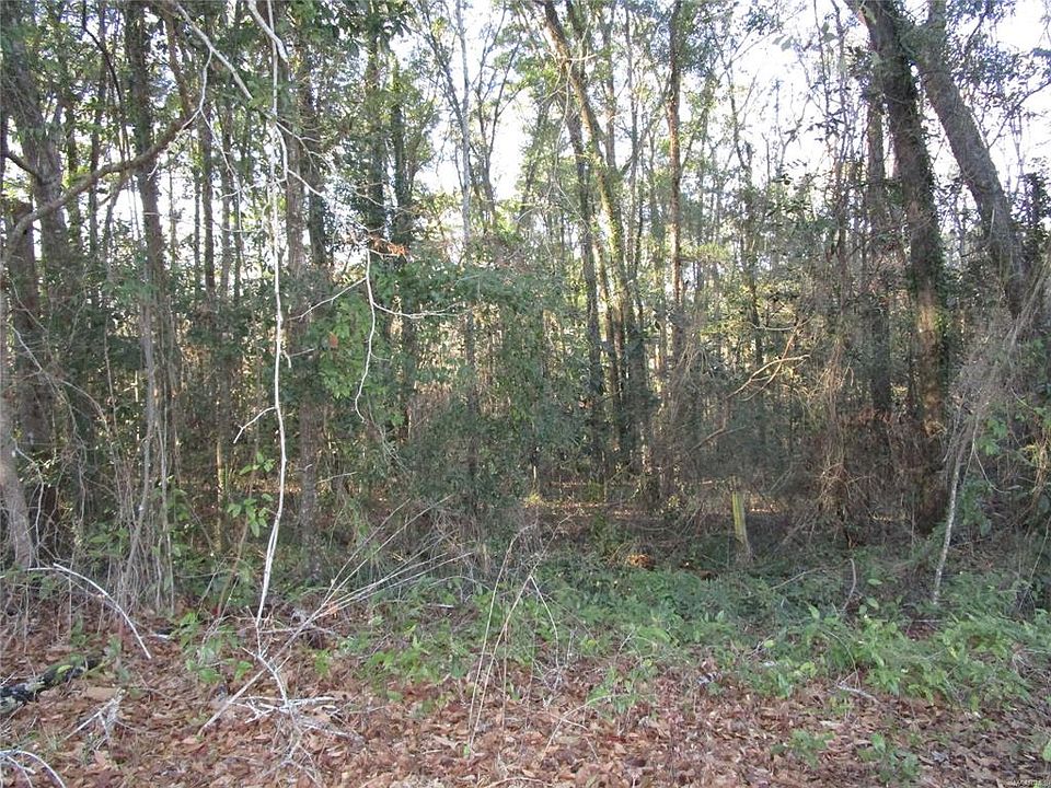 2nd image of 107 Laurel Breeze Dr