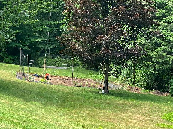 View of the room of the lawn and garden.