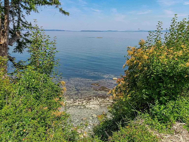 4901 Cordova Bay Rd — Photo 27