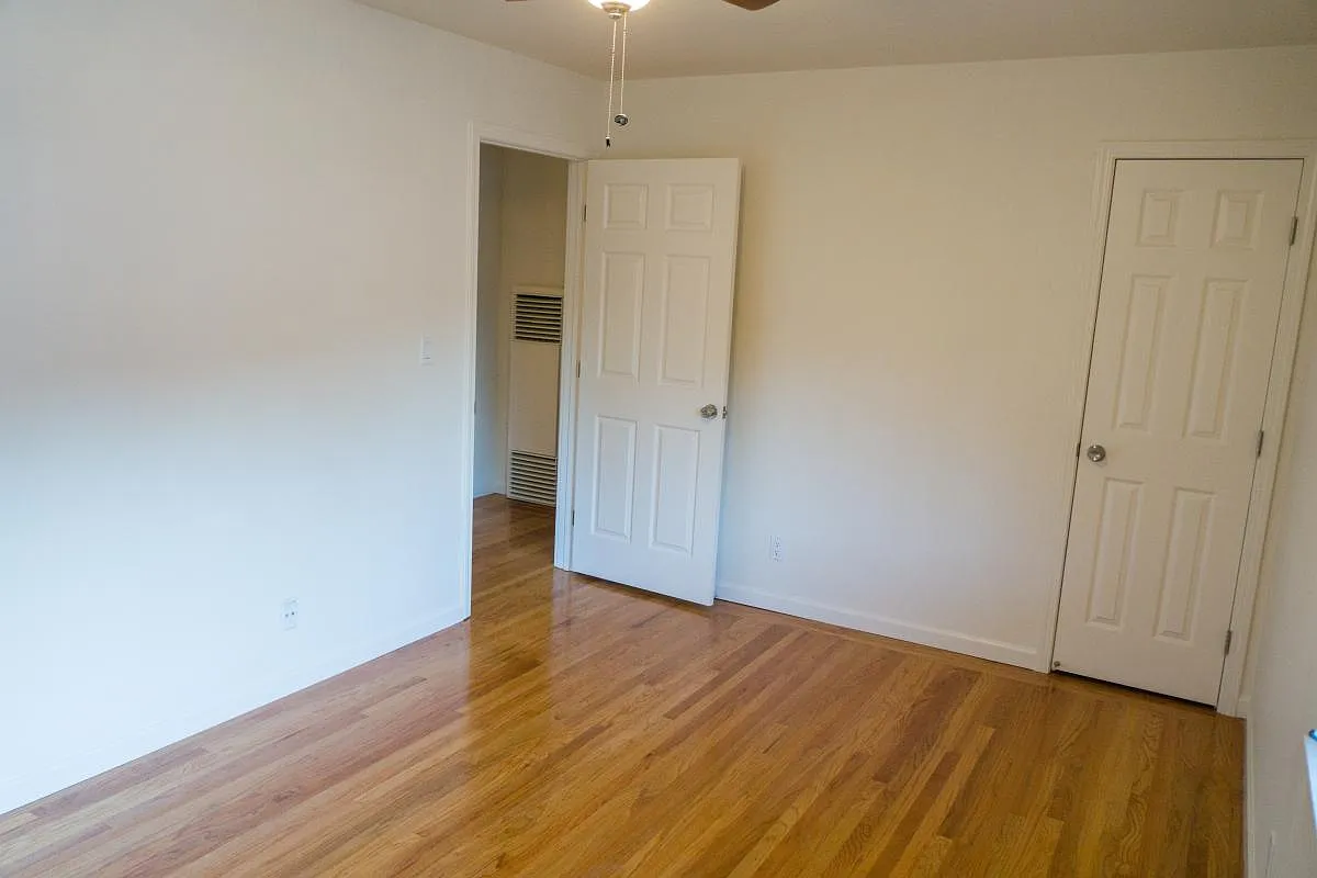 312 Waverley Street — Photo 4