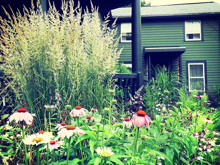 Path to apartment.
