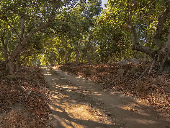 3rd image of 430 Amigos Road