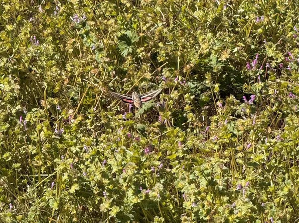 200 N Lakeview St, Broken Bow, OK 74728