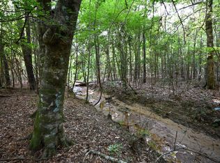 County Road 2150, Woodville, TX 75979