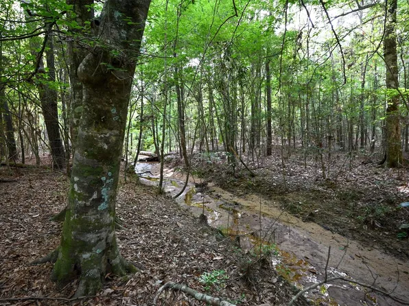 County Road 2150, Woodville, TX 75979