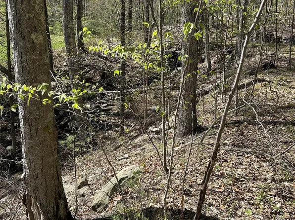 14 Hawk Mountain Drive, Sparrowbush, NY 12780