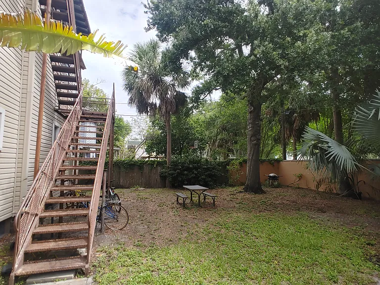 Common back yard