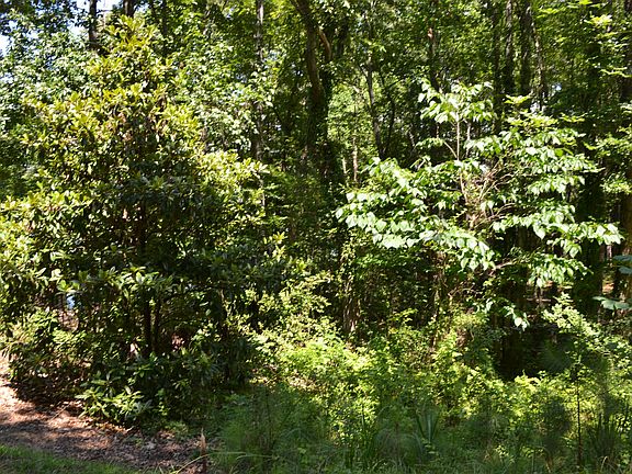 2nd image of 2 Magnolia Dr
