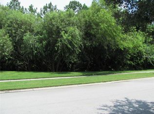 16504 Bridgewalk Dr, Lithia, FL 33547