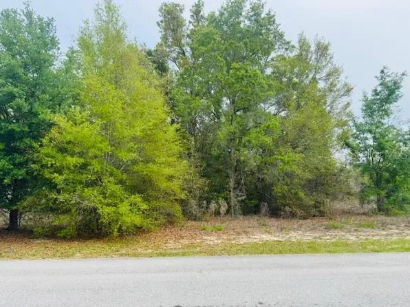 SW 83rd St Lot 14, Dunnellon, FL 34431