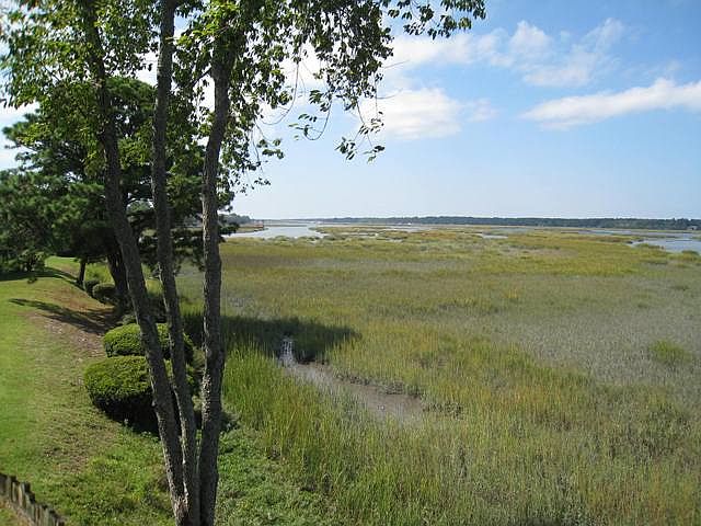 Everchanging marsh to deep wate view