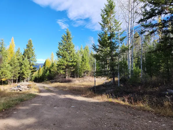 44 Wild Turkey Dr, Republic, WA 99166
