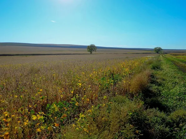 236th St, Kennebec, SD 57544