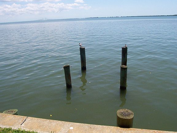 5th image of 2400 Pinellas Point Dr S