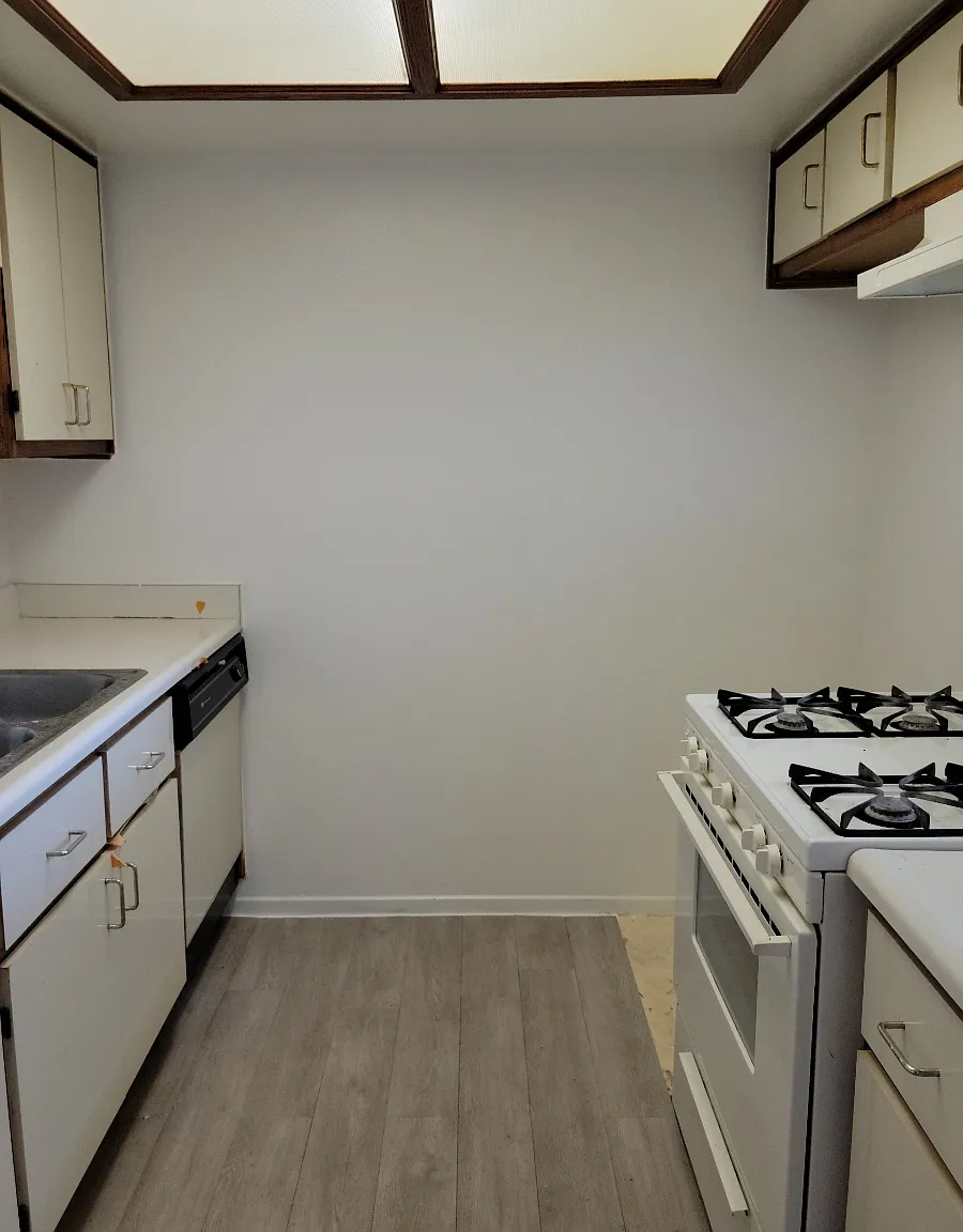 2 bed, 1000 sqft, $2,450 — Photo 3