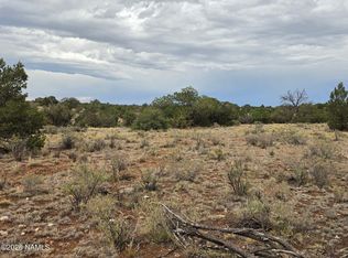 2723 Coldwater Dr, Williams, AZ 86046