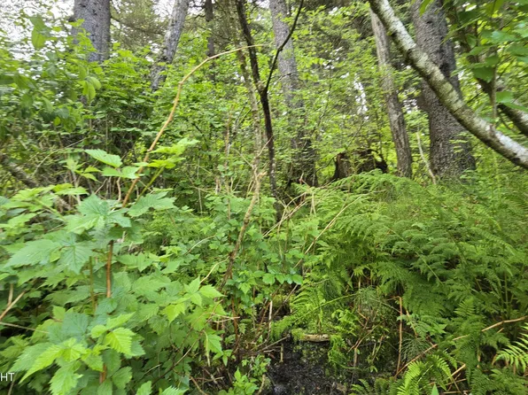 L10-B7 Wizard Ave, Seward, AK 99664