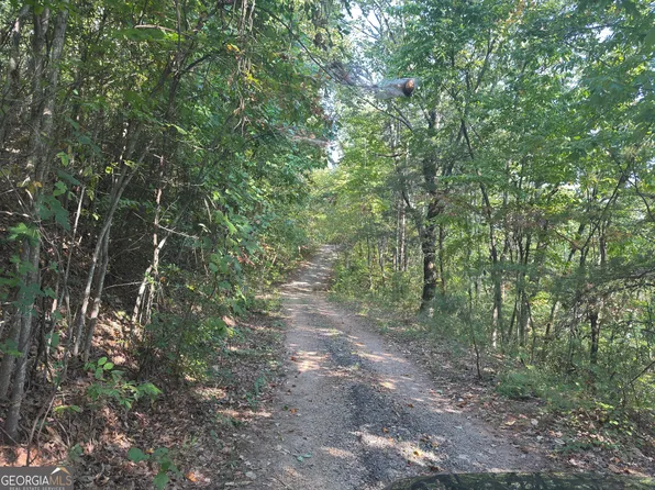 0 Wauka Mountain Ter, Clermont, GA 30527