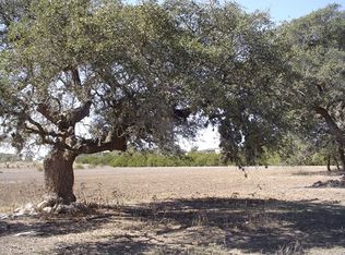 1544 Horton Preiss Rd, Blanco, TX 78606