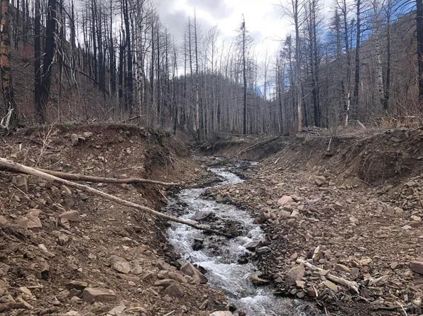 LOT 8C La Veta Ranches, La Veta, CO 81055