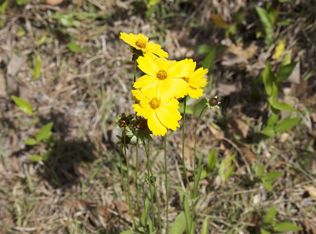 12580 Moccasin Gap Rd, Tallahassee, FL 32309