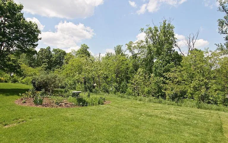 Beautiful backyard - Out to woods and Birds.