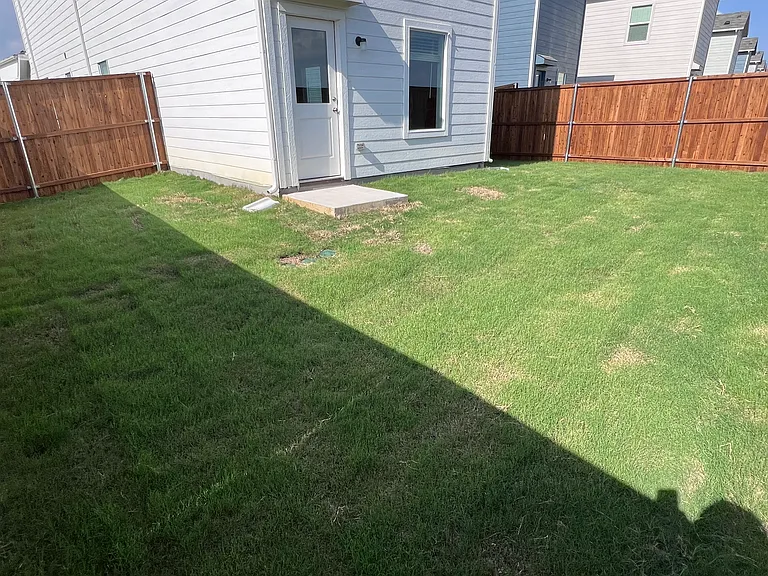 Backyard