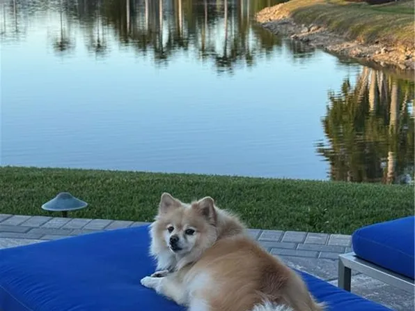 4437 Southern Breeze DR, NAPLES, FL 34114