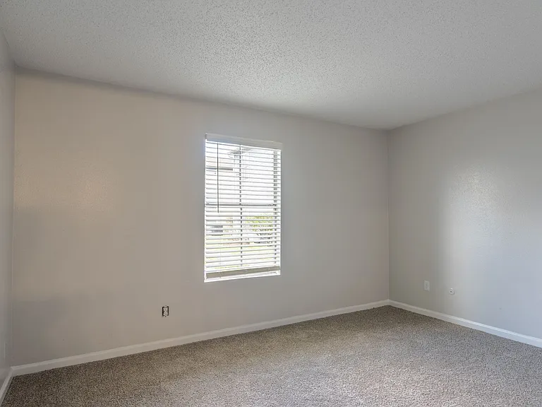 Albion Apartments — Photo 12