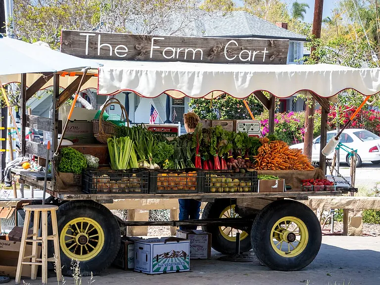 Farmers' market