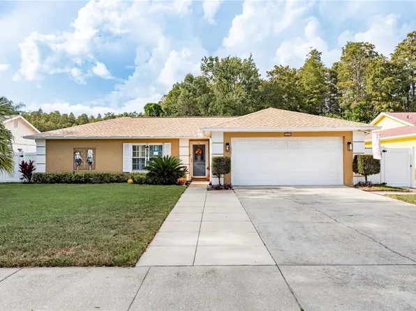 12406 Forest Lane Dr, Tampa, FL 33624