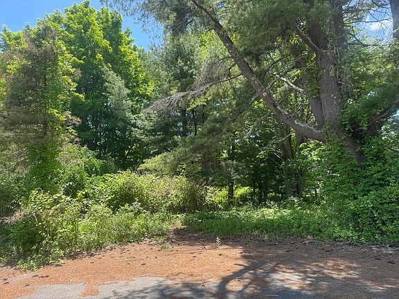 5th image of 19 River Road