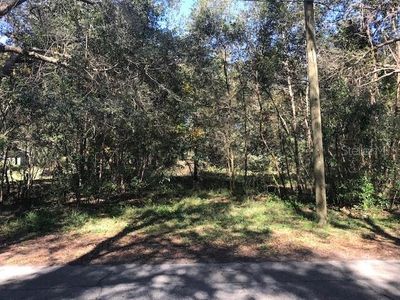 264 W Pennsylvania Ave, Lake Helen, FL, 32744