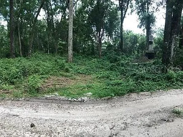 20316 BALDPATE ROAD LOT 3, ALTOONA, FL 32702