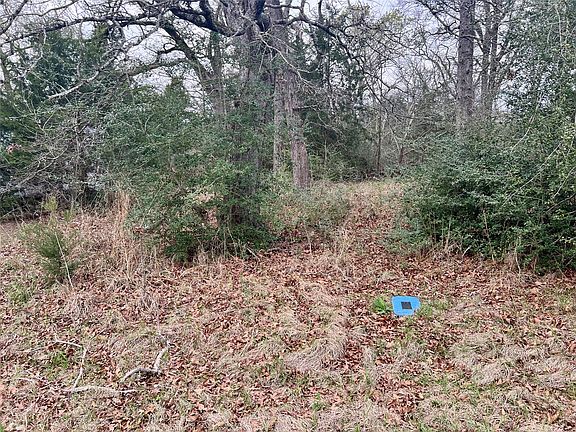 2nd image of 559 An County Road 2223