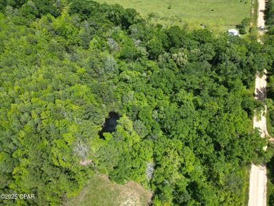 0 Aj Steverson Rd, Bonifay, FL, 32425