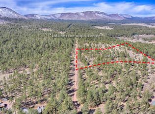 PARCEL County Road 2147 N, Alpine, AZ 85920