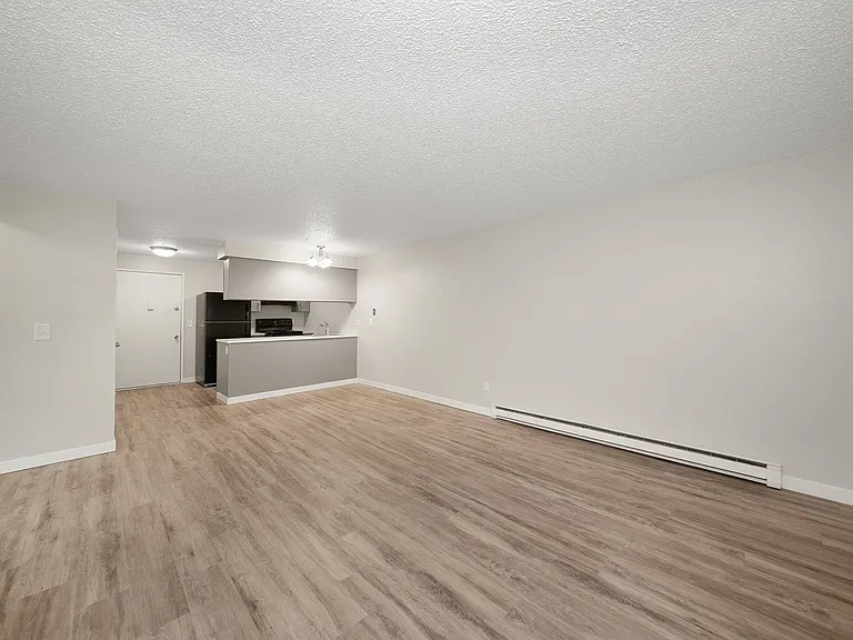 Living Room/Kitchen
