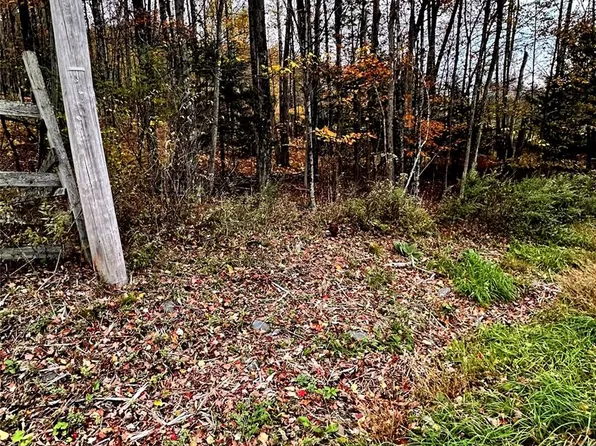 TBD Hysana Road, Fallsburg, NY 12733