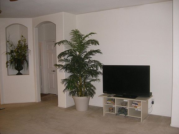 Living Room 50" Flat Screen TV 