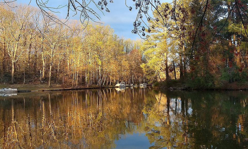 View of lake from back yard