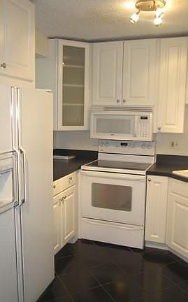 3rd image of 195 N Harbor Dr APT 2504