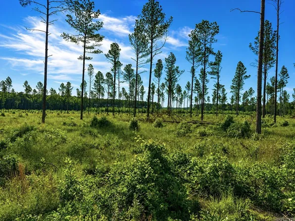 0 Grant County Rd #9, Sheridan, AR 72150