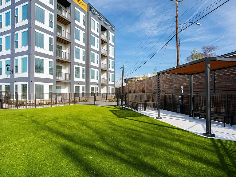 Spacious Outdoor Dog Park with Covered Seating
